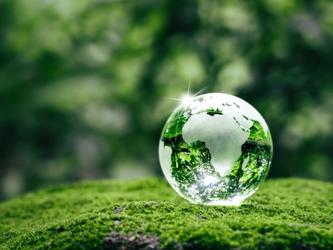 Glass globe in a forest